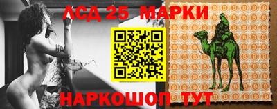 МДПВ Бердск