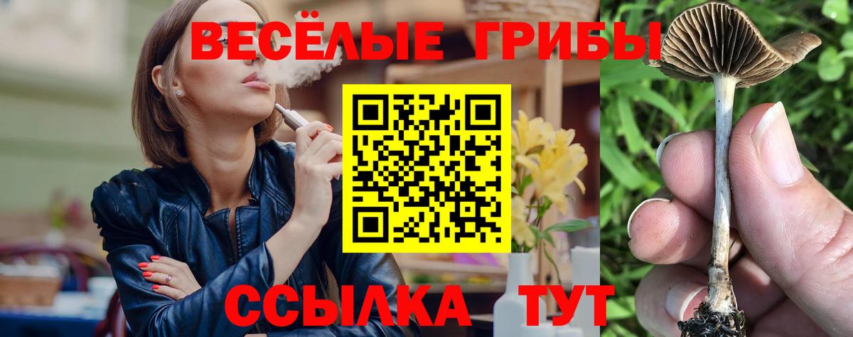 Галлюциногенные грибы ЛСД  купить наркотик  Вход с VPN  Бахчисарай  Галлюциногенные грибы ЛСД 